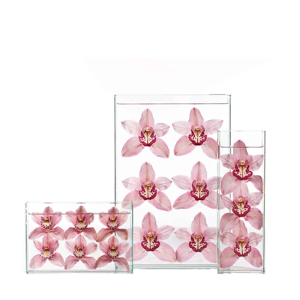 Pink Orchid Waterfall 2
