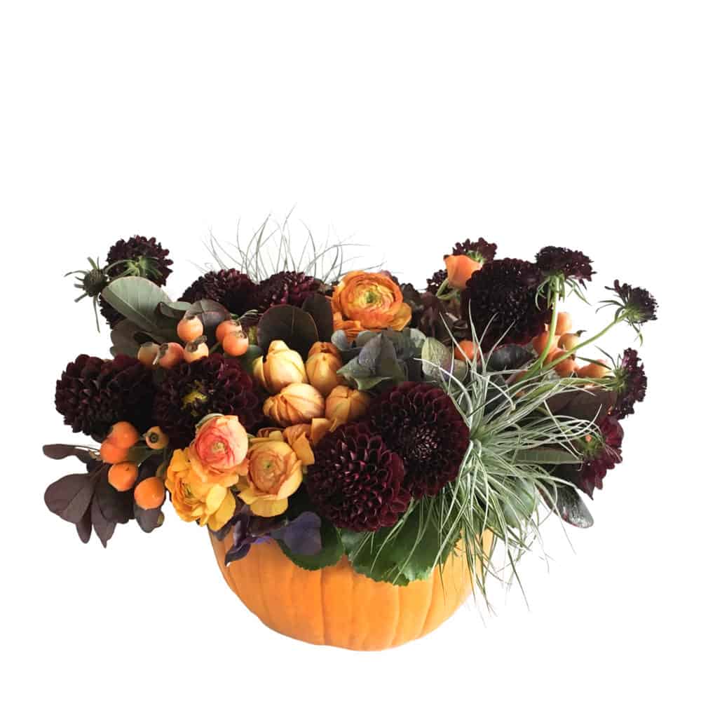 Halloween Harvest Small