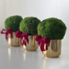 Moss Topiary - Image 2