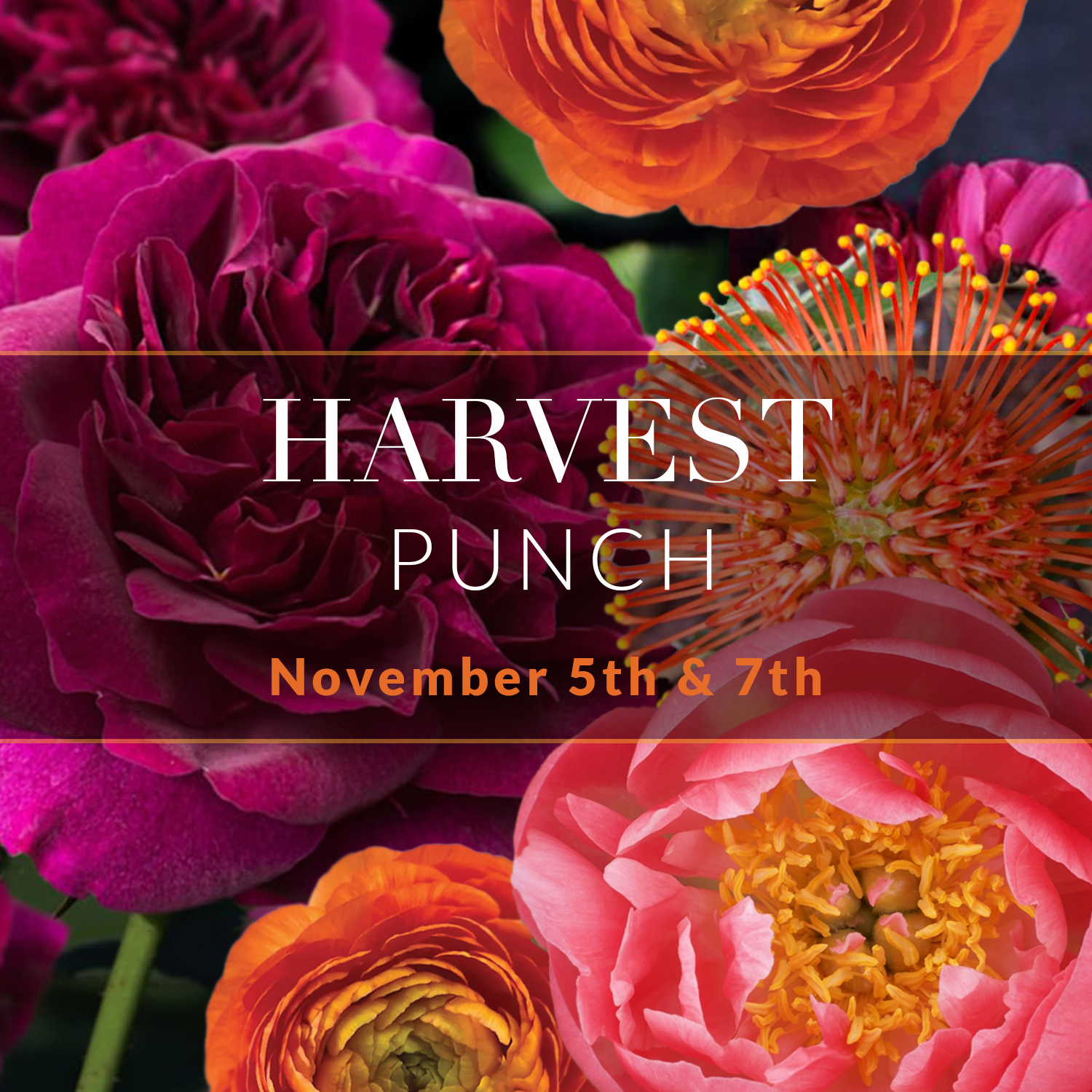 harvest punch Thumbnail copy